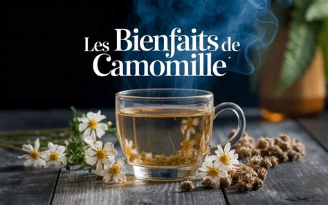 Infographie des bienfaits de la camomille