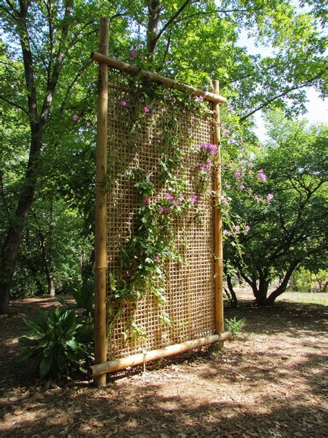Treillis en bambou fait maison pour plantes grimpantes