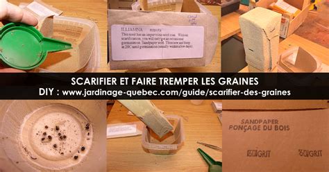 Schéma de scarification et trempage des graines