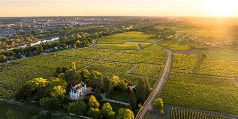 Vignobles de Vouvray surplombant la Loire