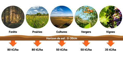 Diagramme des proportions idéales de matière brune (riche en carbone) dans un compost, incluant les coques de noix
