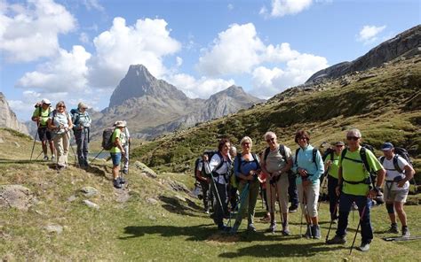 Randonneurs en montagne observant des plantes