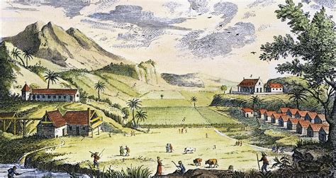 Vue panoramique d'une ancienne plantation sucrière en Guadeloupe avec son moulin à vent emblématique
