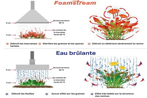 Infographie illustrant le fonctionnement de Foamstream avec l'eau chaude et la mousse biodégradable