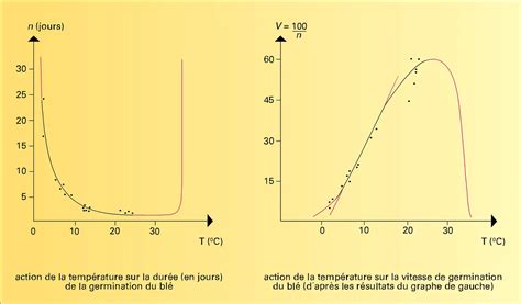 Diagramme illustrant l'effet de la température sur la germination
