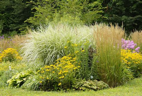 Exemple de massif de plantes vivaces variées