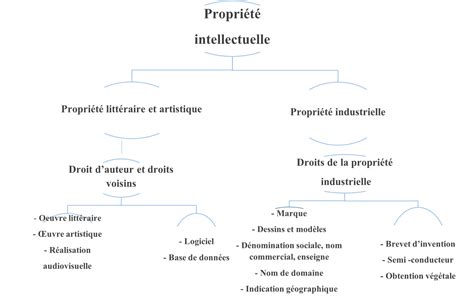 Schéma illustrant la chaîne de propriété intellectuelle des semences, de la recherche à l'agriculteur