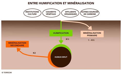 Schéma illustrant le cycle de transformation du fumier en humus