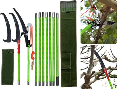 Outils d'élagage pour bonsaï stérilisés