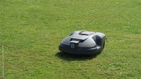 Robot tondeuse sur une pelouse verte