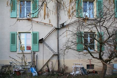 Variété d'échelles à chats sur les façades d'immeubles à Berne