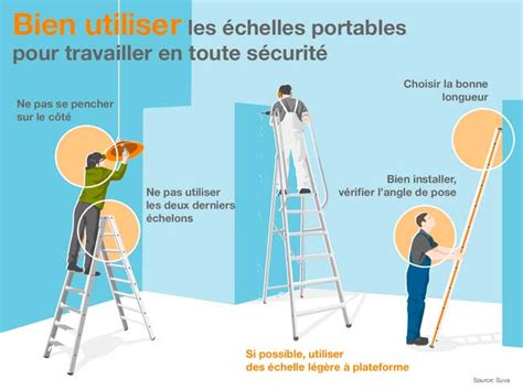 Chat en train d'être entraîné à utiliser une échelle à l'aide de friandises