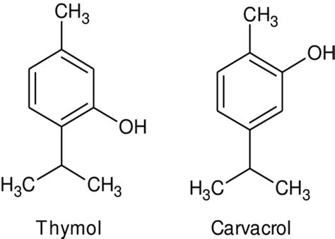 Structure chimique du carvacrol et du thymol