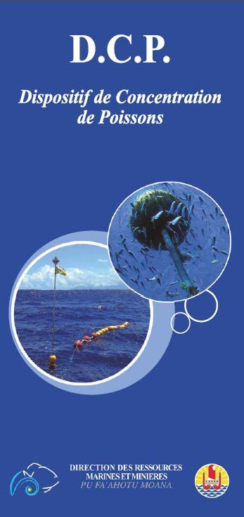 Schéma explicatif d'un Dispositif de Concentration de Poissons (DCP)