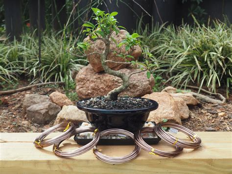 Copper and aluminum bonsai wire