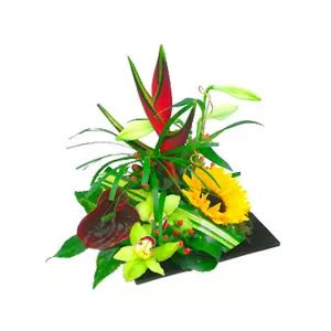 Composition de fleurs exotiques variées