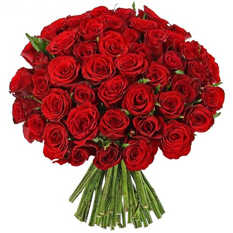 Bouquet de roses rouges