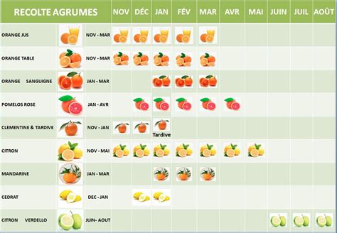 Calendrier d'entretien des agrumes