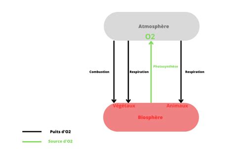 Schéma illustrant la composition des terreaux UAB