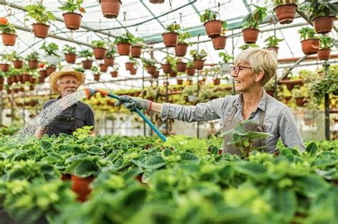 Personnes travaillant dans une pépinière