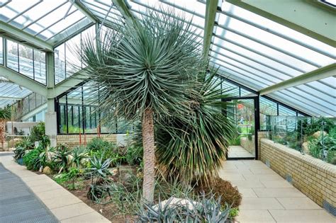 Serre de plantes tropicales dans les Jardins Botaniques de Christchurch