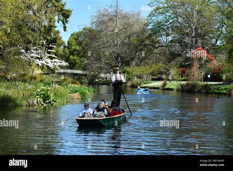 La rivière Avon traversant les Jardins Botaniques de Christchurch avec des visiteurs en barque