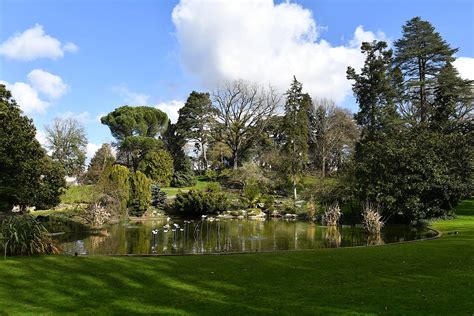 Café Ilex au sein des Jardins Botaniques de Christchurch avec vue sur les pelouses