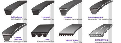 Différents types de courroies pour motoculteurs