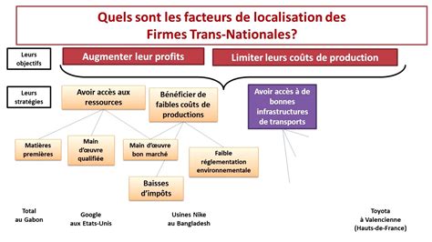 Structure d'une FTN et localisation de ses activités