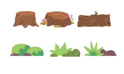 Illustration d'une souche de plante divisée en plusieurs parties