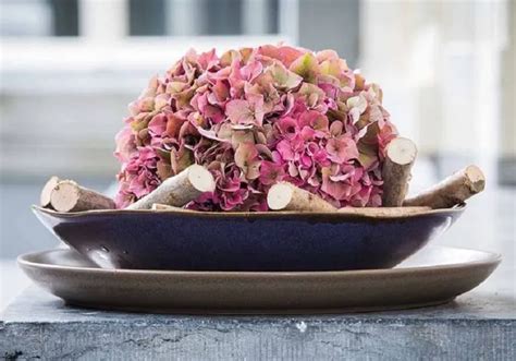 Composition d'hortensias séchés dans un intérieur scandinave