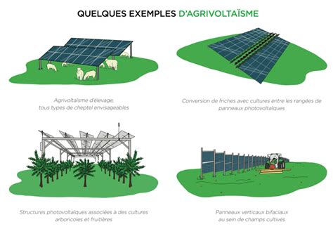 Schéma d'une installation agrivoltaïque intégrant la culture de la fraise