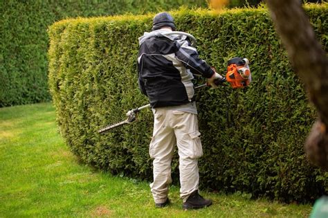 jardinier taillant une haie à Pau