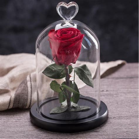 Rose éternelle sous cloche
