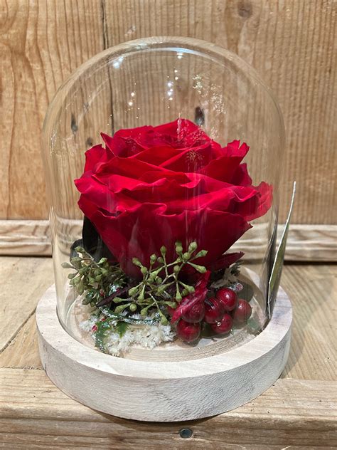 une rose rouge éternelle élégamment présentée sous une cloche en verre
