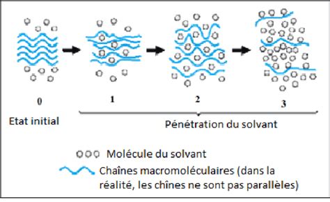 Schéma illustrant le gonflement des cristaux polymères au contact de l'eau