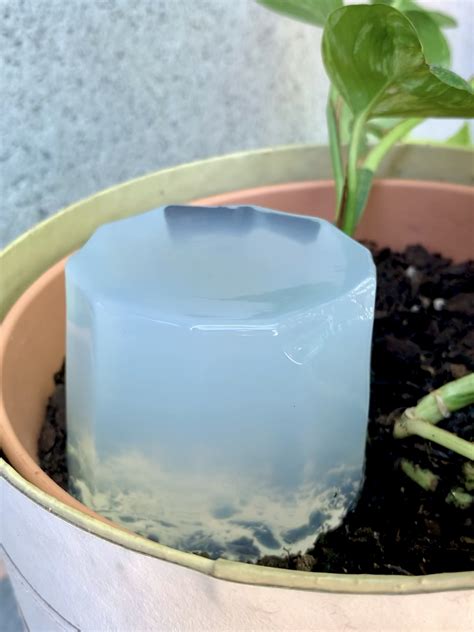 Image de gel d'arrosage en forme de poche pour plante