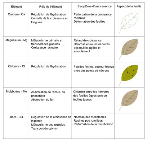 tableau des carences et solutions biologiques