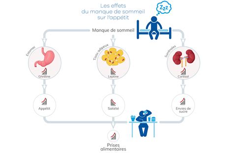 Schéma illustrant les effets de l'excès et du manque d'eau sur les feuilles de citronnier