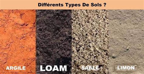 Comparaison des différents types de sols