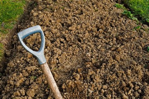 Apport de compost dans un sol argileux