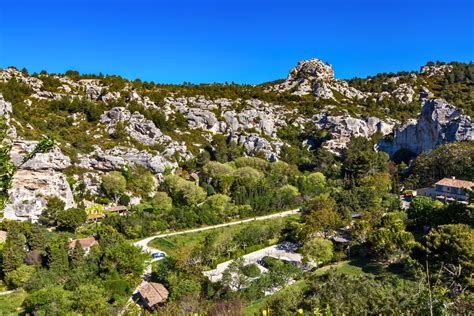 Vignoble en lyre dans les Alpilles