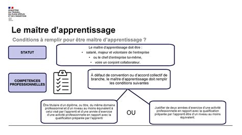Schéma des responsabilités du maître d'apprentissage