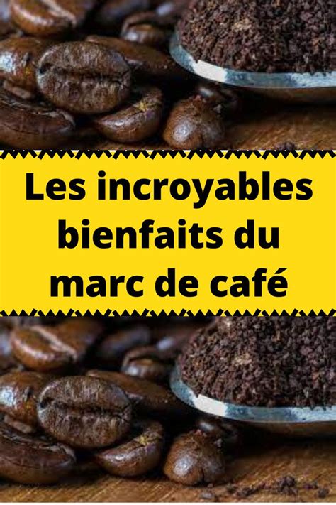Infographie sur les bienfaits du marc de café pour le jardinage