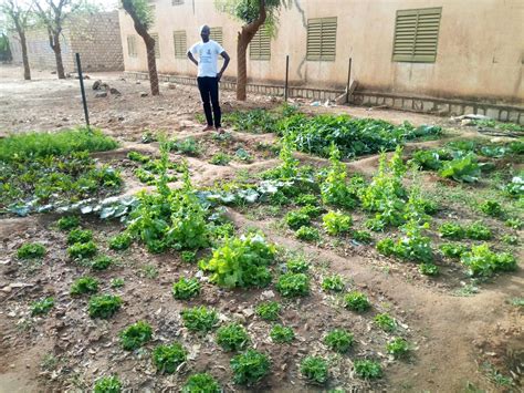 Partenariats pour le jardin scolaire