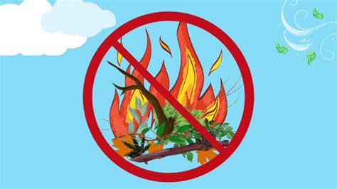Interdiction de brûler les déchets verts