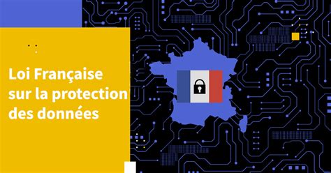 Schéma des acteurs de la protection des données en France