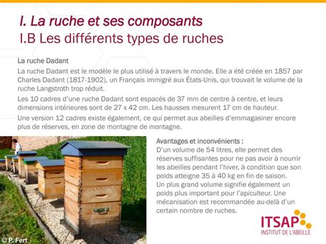 Différents types de ruches utilisés en apiculture naturelle