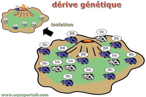 Schéma expliquant la réduction de dérive
