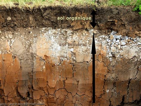 Sols méditerranéens et matière organique